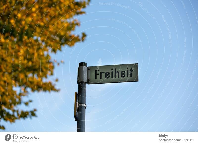 Straßennetz Freiheit frei sein Wort Schrift Straßenname Straßenschild Straßennamenschild Himmel Baum freiheitsliebend Freiheitsdrang