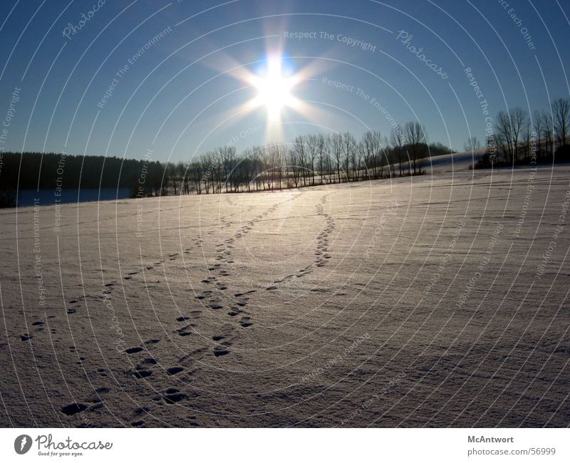 Deine Spuren im S...Schnee Wald Sonnenuntergang Ferne