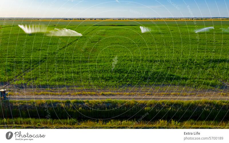 Luftaufnahme einer landwirtschaftlichen Hochdruck-Wasserberieselungsanlage, die Wasserstrahlen zur Bewässerung von Maiskulturen aussendet oben Antenne Ackerbau