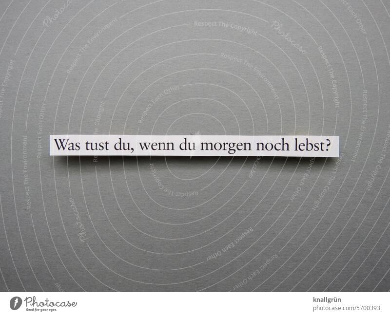 Was tust du, wenn du morgen noch lebst? Leben Text Fragen Interesse Neugier Erwartung Stimmung Philosophie tiefgründig existenziell Gefühle nachdenken