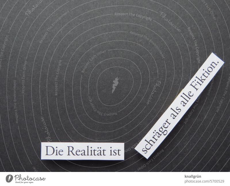 Die Realität ist schräger als alle Fiktion. Text Leben erleben Gefühle Erwartung Stimmung echtes Leben Wirklichkeit Buchstaben Wort Studioaufnahme