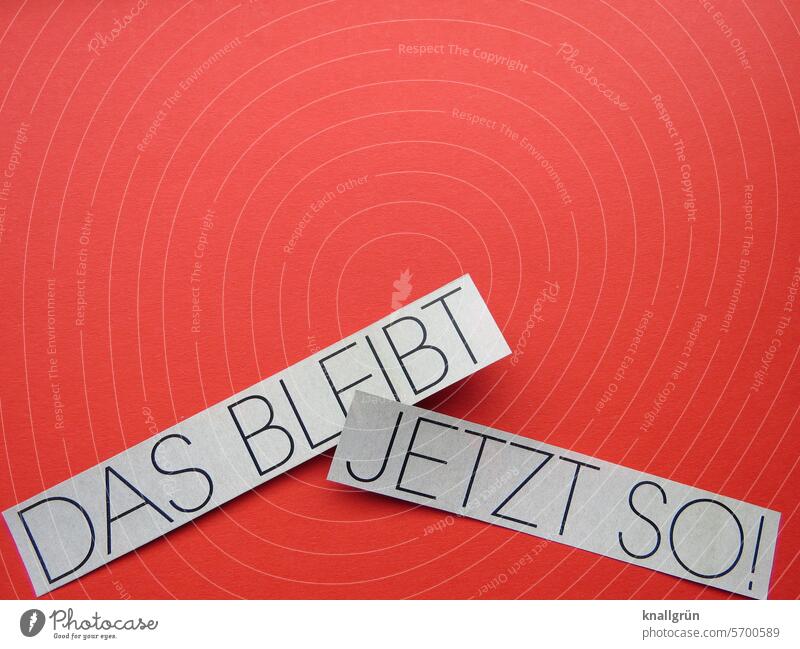 Das bleibt jetzt so! Entscheidung Entschlossenheit Text entschieden Statement Entschluss Farbfoto Typographie Studioaufnahme Schriftzeichen Hintergrund neutral