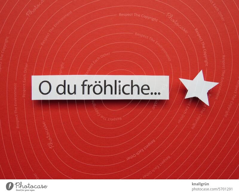 Oh du fröhliche… Weihnachten & Advent singen Text Feste & Feiern Tradition Dekoration & Verzierung Weihnachtsdekoration festlich Stimmung Winter Stern (Symbol)