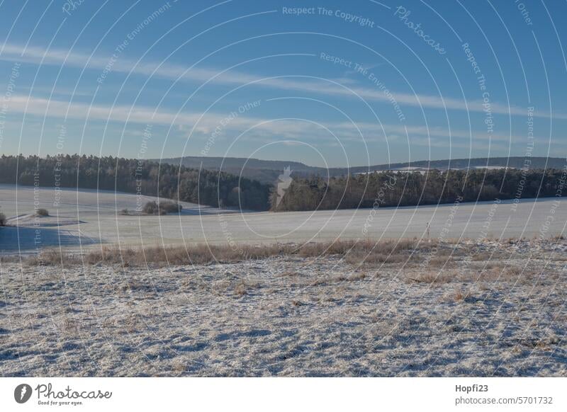 Landschaft im Winter Natur Außenaufnahme Farbfoto Umwelt Menschenleer Tag Wald Baum Pflanze Gedeckte Farben Wetter Licht Kontrast Schnee kalt Eis Frost weiß