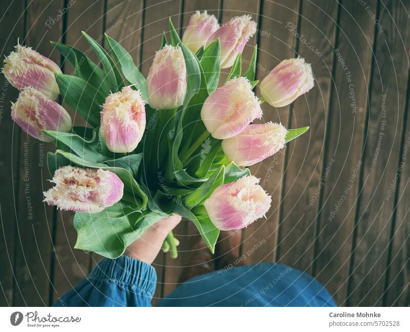 Frau in einem Jeanskleid hält Fransen Tulpen in der Hand Blumen Frühling Fransentulpen Blüte Tulpenblüte Blühend Pflanze Frühlingsgefühle Farbfoto grün Natur