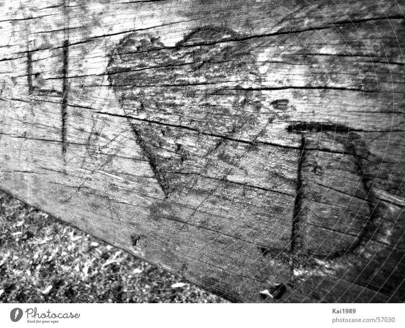 Für die Ewigkeit Holz Stabilität hart braun rot lieblich Sitzgelegenheit Baum Pflanze Frühlingsgefühle schnitzen Schnitzereien Außenaufnahme Feste & Feiern