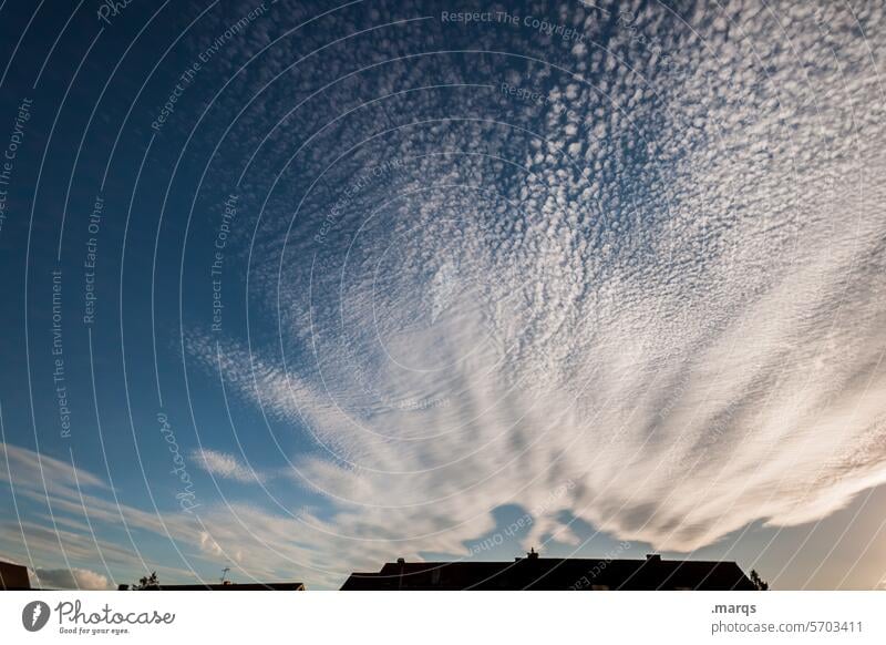 Wolkendecke Silhouette nur Himmel Klimakrise Klimawandel Luft Umwelt blau Wetter Urelemente Wolkenhimmel Natur meteorologie Atmosphäre Meteorologie