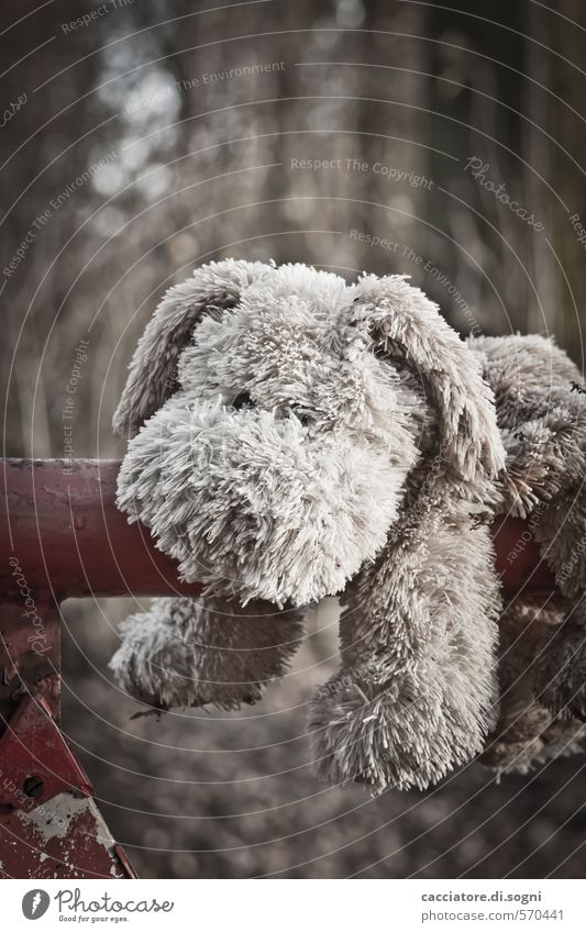 Knuddel mich mal Hund 1 Tier Stofftiere Spielzeughund alt dreckig dunkel kuschlig braun grau Sympathie Freundschaft Treue bescheiden Traurigkeit Liebeskummer