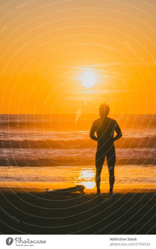 Anonymer männlicher Surfer am Strand stehend mit Surfbrett bei Sonnenuntergang Mann MEER Silhouette Wasser winken Natur Sand Ufer Meer Küste Harmonie Hobby