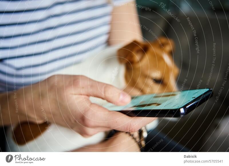 Frau benutzt Mobiltelefon zu Hause benutzend Handy Appartement Smartphone Gerät soziale Netzwerke Browsen Surfen im Innenbereich Technik & Technologie