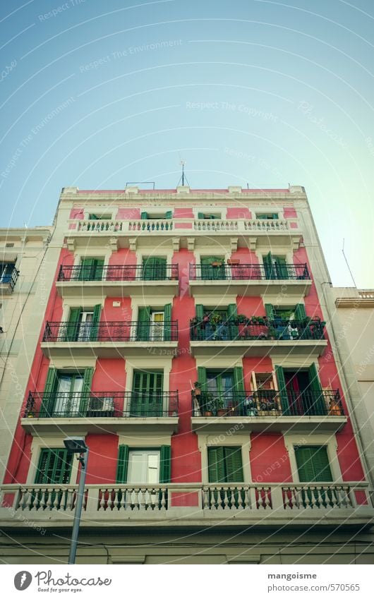 kirschblüten Stadt Altstadt Haus Mauer Wand Fassade Balkon Fenster Tür Dach alt Freundlichkeit Fröhlichkeit hell natürlich oben schön Wärme blau grün rosa rot