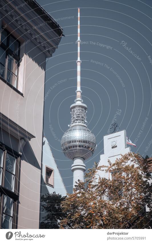 Berliner Fernsehturm Alte Mitte Dach Grundbesitz Immobilienmarkt Starke Tiefenschärfe Textfreiraum oben Berlin-Mitte Hauptstadt Hochhaus Urbanisierung