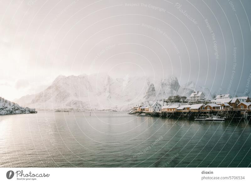 Lofoten Lofoten Inseln Norwegen Norwegenurlaub Meer Meeresufer Atlantik Nordatlantik Polarmeer polar Polarkreis Küste Schnee Landschaft Natur Felsen