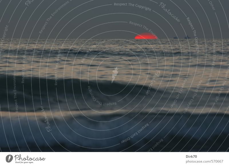 Letzte Glut vor dem Untergang Natur Wasser Himmel Wolkenloser Himmel Sonne Sonnenaufgang Sonnenuntergang Sonnenlicht Sommer Schönes Wetter Wellen Küste Nordsee