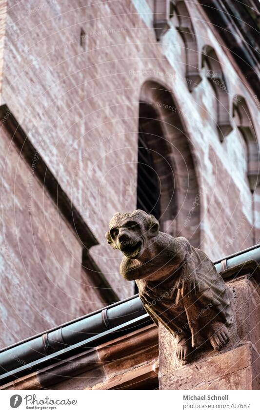 Hundsgestalt an Kirche zur Abwehr von Dämonen und bösen Geistern dämonisch gargoyle Angst beängstigend Freak Steingestalt Fabelwesen Geister u. Gespenster