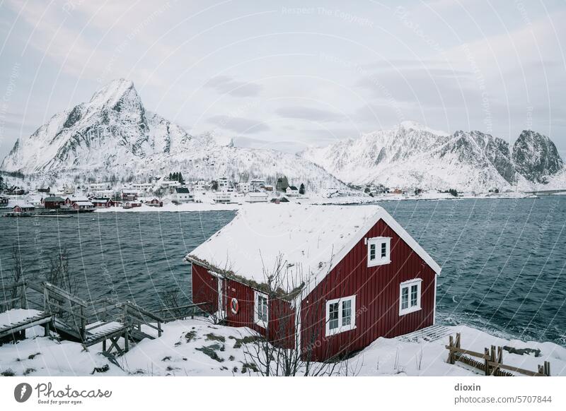 Lofoten - Reine Lofoten Inseln Norwegen Norwegenurlaub Meer Meeresufer Atlantik Nordatlantik Polarmeer polar Polarkreis Küste Schnee Landschaft Natur Felsen