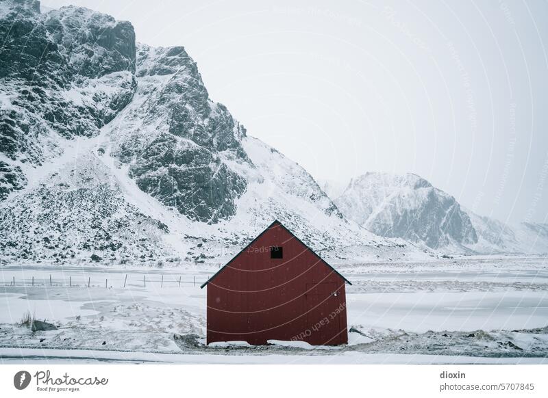 Lofoten Lofoten Inseln Norwegen Norwegenurlaub Meer Meeresufer Atlantik Nordatlantik Polarmeer polar Polarkreis Küste Landschaft Natur Felsen