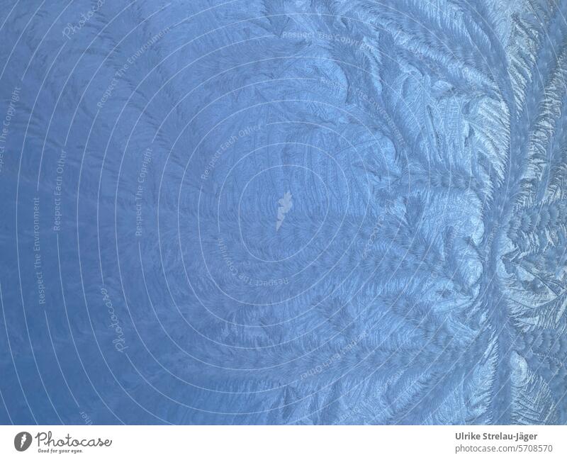 Eislinien am Fenster | blaue Morgenstunde Eisblumen Frost gefroren kalt Kristallstrukturen Eiskristall frieren Kälte Eiskristalle Muster Strukturen