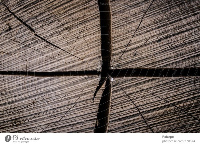 Holz Leben Tapete Industrie Natur Baum Wald Ring alt Wachstum historisch natürlich braun Hintergrund Grunge hölzern Nutzholz Konsistenz Abschnitt geschnitten