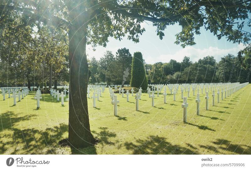 Vanitas Grabkreuze Begräbnisstätte Memorial Grabmal Reih und Glied Gräber Kreuze Gedächtnis 2. Weltkrieg Grabstein Christliches Kreuz Denkmal Opferbereitschaft