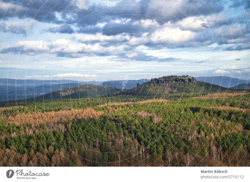 Blick vom Pfaffenstein. Wälder, Berge, Weite, Panorama. Landschaft Himmel Gipfel Wald Sandstein Ansicht Berge u. Gebirge Wanderung Hügel Sachsen Cloud grün