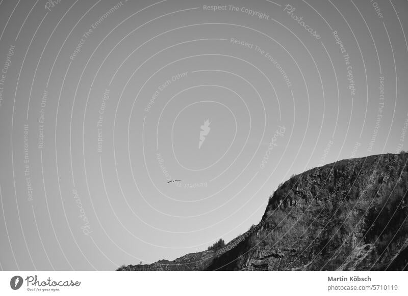 Westkappe in Norwegen. Ein Berg, der in den Fjord hineinragt. Landschaft Skandinavien Berge Küste Natur Wasser horizontal Fischen atlantisch Felsen Schnee