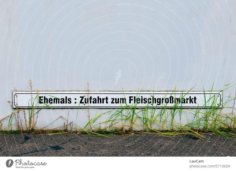 Die Zukunft ist veggie vegetarisch fleischlos vegan Fleisch Gemüse Gras Grashalme Hinweisschild Information gesund Ernährung vegetarische Ernährung