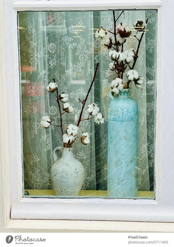 Blumen aßen im Fenster Blumenvase Dekoration & Verzierung Blumenstrauß schön Vase Blüte Farbfoto Pflanze Nahaufnahme Hintergrund neutral Innenaufnahme