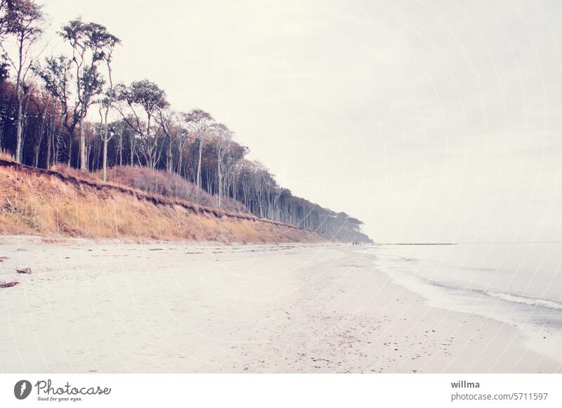 Da wo der Wind das Gras mäht ... Strand Sand Meer Waaaer Küstenwald Ostsee Nienhagen Gespensterwald Steilküste Ostseestrand Sandstrand Ostseeküste