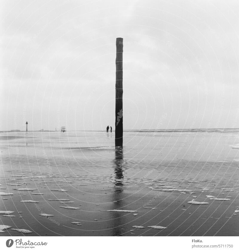 Holzpfahl im Wattenmeer bei Sankt Peter-Ording Meer Nordseeküste Schleswig-Holstein schwarzweiß schwarzweißfoto Landschaft Küste Natur Außenaufnahme