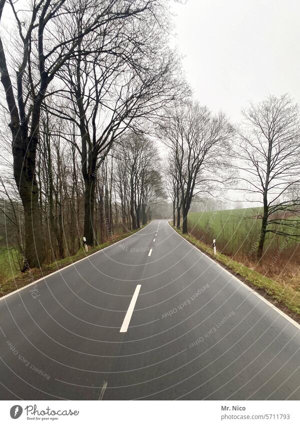 Landstraße Fahrbahn Verkehrswege Straße außerorts zweispurig leere Straße Straßenrand Autofahren roadtrip Straßenverkehr Asphalt Herbst Wege & Pfade on the road