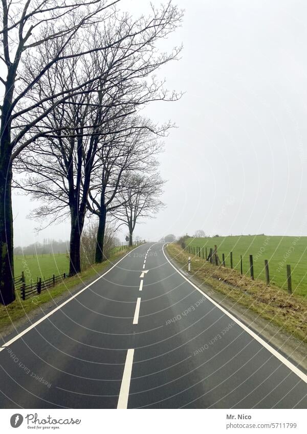 Landstraße Verkehrswege Fahrbahn Straße leere Straße außerorts zweispurig Straßenrand Wege & Pfade Straßenverkehr Autofahren Herbst Asphalt roadtrip unterwegs