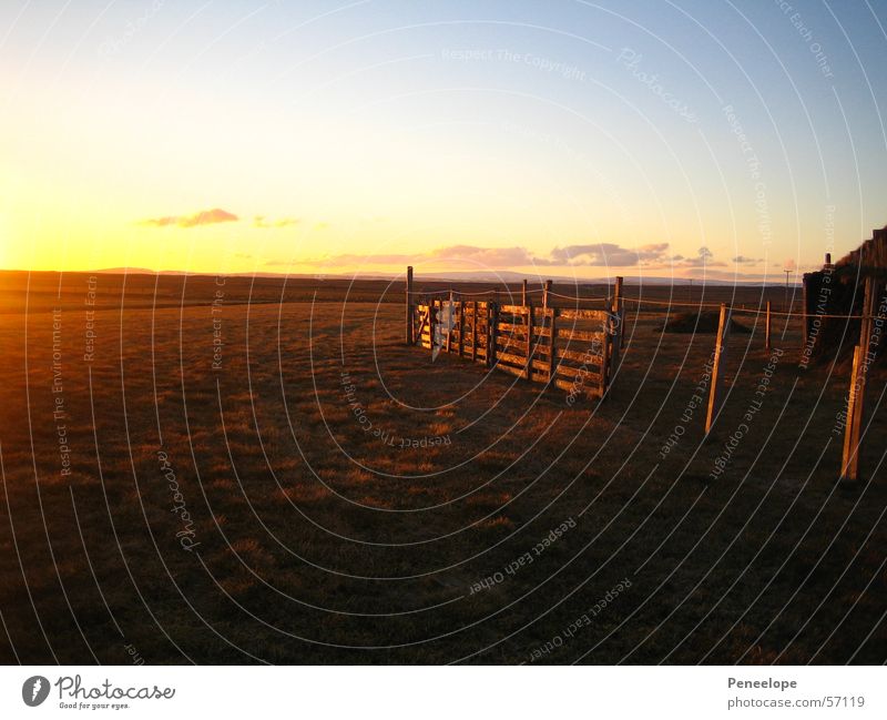 Farmshine Sonnenuntergang Nachmittag Wiese Zaun Bauernhof Island Feld Wolken Haus Ferne Himmel