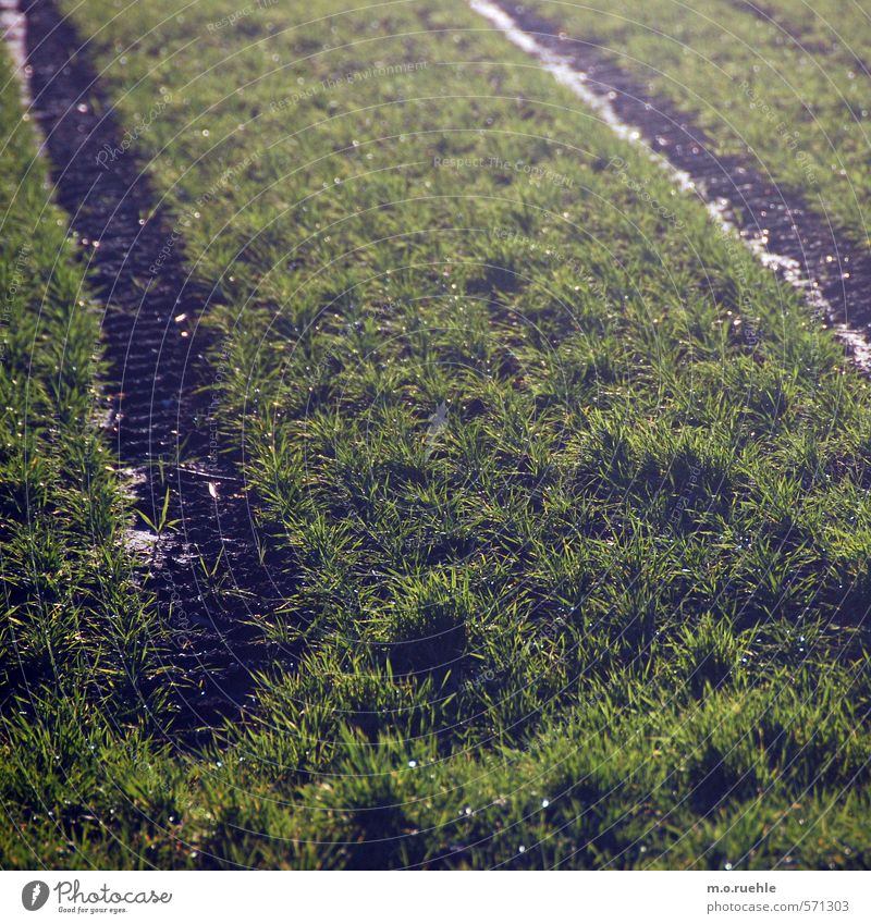 the end Ausflug Sommer Garten Umwelt Natur Landschaft Erde Sonnenlicht Schönes Wetter Gras Wiese Feld Dorf Menschenleer Fahrzeug Traktor fahren Landleben