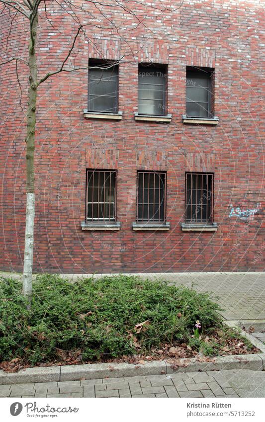 graffiti neben gittern gebäude fassade fenster vergittert fenstergitter arrestzellen gefängnis gerichtsgebäude backstein a ghost baum sträucher pflanzen