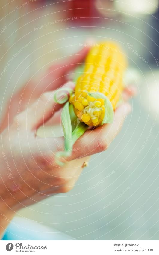 Mais Gemüse Ernährung Essen Picknick Bioprodukte Vegetarische Ernährung Diät Slowfood Fingerfood Freizeit & Hobby Ferien & Urlaub & Reisen Tourismus Ausflug