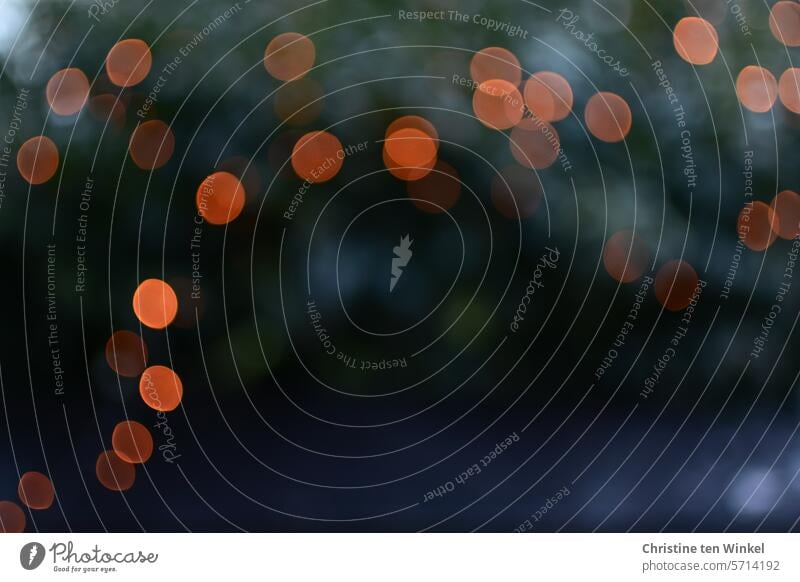verschwommene Lichter im Garten Unschärfe Bokeh bokeh Lichter defokussiert glänzend Lichtkullern Stimmung gold Glanz funkeln festlich Dekoration & Verzierung