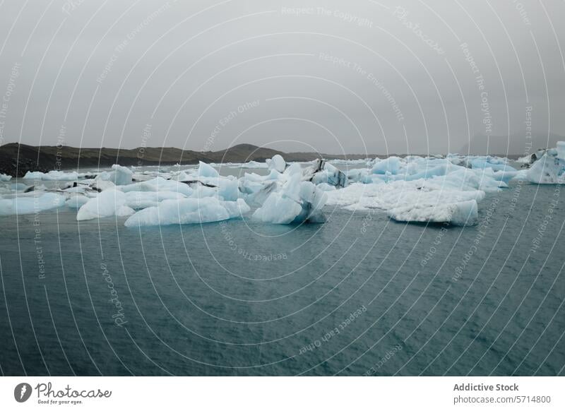 Neblige Gletscherlagune Jökulsárlón in Island Ausflug Lagune Eis Wasser Nebel Gelassenheit natürlich Landschaft reisen Ausflugsziel Natur Ruhe blau fliegend