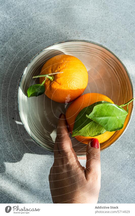 Frische Orangen von Hand aus einer Schale an einem sonnigen Tag pflücken orange Frucht Schalen & Schüsseln Sonnenlicht Schatten frisch reif Nagellack metallisch