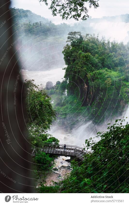 Nebliger Blick auf die Iguazu-Fälle mit üppiger Begrünung und Spazierweg Iguazu Fälle Wasserfall Nebel Grün Laufsteg üppig (Wuchs) Wald Argentinien Natur