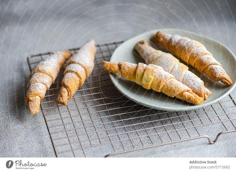 Frisch gebackene, hausgemachte Teigtaschen, gefüllt mit süßer Marmelade, bestäubt mit Puderzucker, serviert auf einem Keramikteller mit einem Kühlgestell auf einer grauen Arbeitsplatte