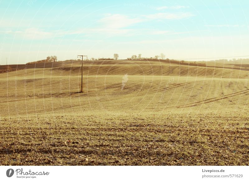 da Feld Umwelt Natur Landschaft Pflanze Himmel Wolken Sonne Sonnenlicht Schönes Wetter Baum Wildpflanze Hügel leuchten Gelassenheit ruhig Idylle Farbfoto