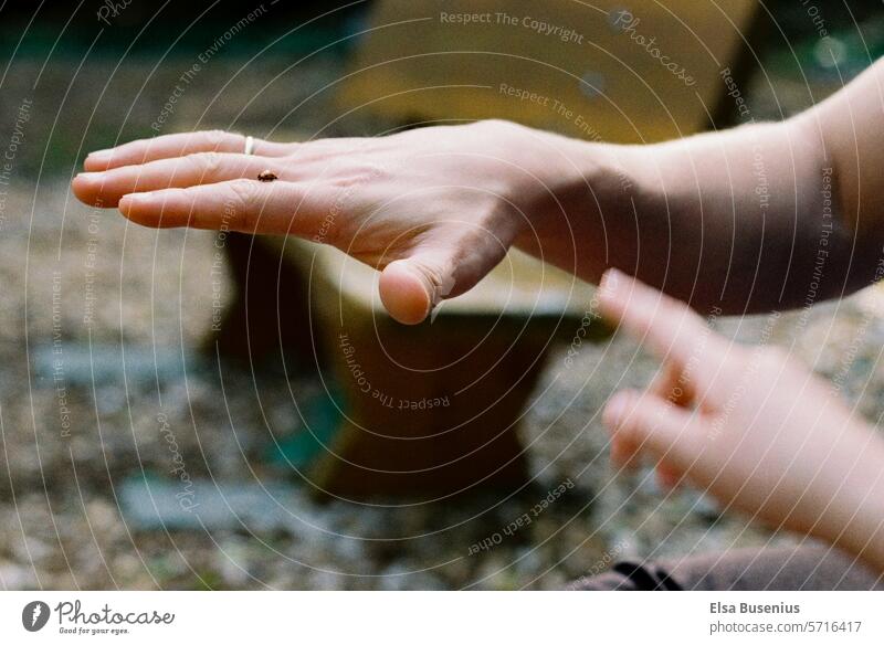 Marienkäfer entdeckt klima Analogfoto analog Wetter hand zeigen insekt umwelt warm leben Papa und Kind park parkbank entdecken forschen Außenaufnahme Natur