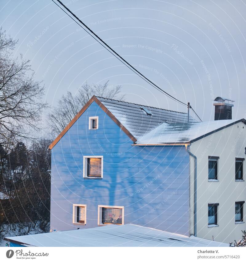 Sonnenaufgang im Januar mit Baumschatten an der Fassade des Nachbarn Schatten Licht und Schatten Kontrast Wand Schattenspiel Licht & Schatten Schattenwurf