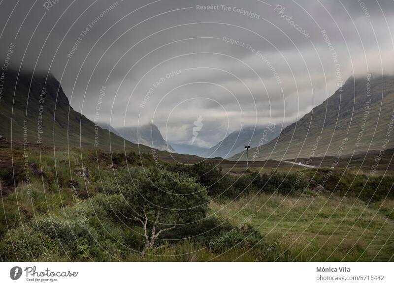 Blick auf die Berge von Glencoe an einem Tag mit dramatischem Himmel vom Aussichtspunkt Glencoe Schottisches Hochland Schottland Blumen dramatische Wolken Natur