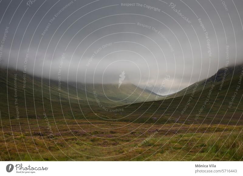 Blick auf die Berge von Glencoe an einem Tag mit dramatischem Himmel vom Aussichtspunkt Glencoe Schottisches Hochland Schottland Blumen dramatische Wolken Natur