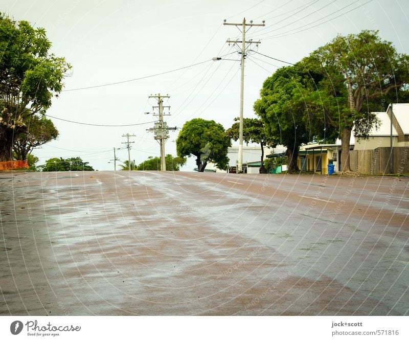 Douglas Street Baum exotisch Kleinstadt Verkehrswege Straße authentisch nass Strommast tropisch feucht Hauptstraße Freiraum Thursday Island Umwelt Australien