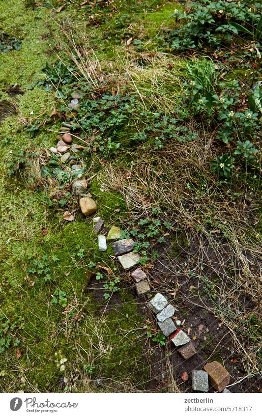 Eine Reihe Pflastersteine auf der Wiese abend dunkel dämmerung erholung erwachen ferien frühjahr frühling frühlingserwachen garten hecke kleingarten