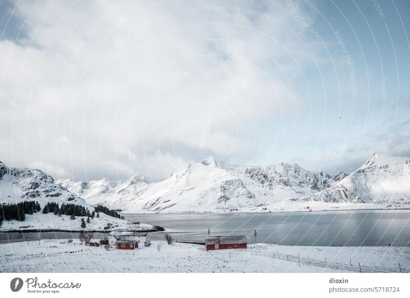 Lofoten Lofoten Inseln Norwegen Norwegenurlaub Meer Meeresufer Atlantik Nordatlantik Polarmeer polar Polarkreis Küste Landschaft Natur Felsen