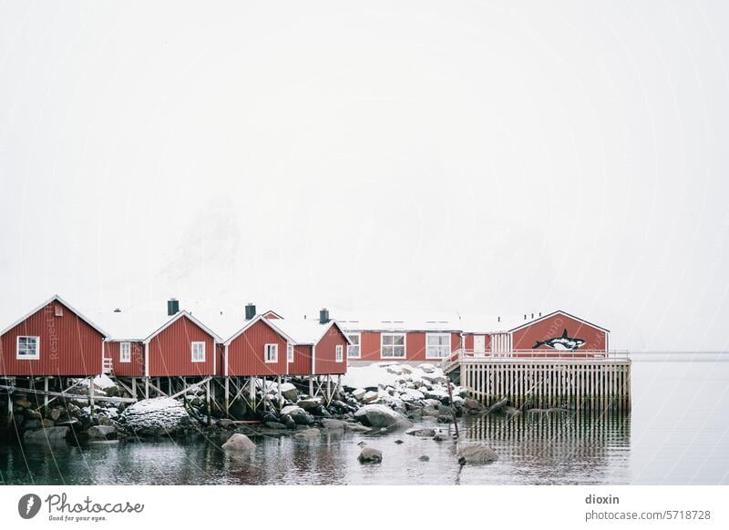 Lofoten Lofoten Inseln Norwegen Norwegenurlaub Meer Meeresufer Atlantik Nordatlantik Polarmeer polar Polarkreis Küste Schnee Landschaft Natur Felsen